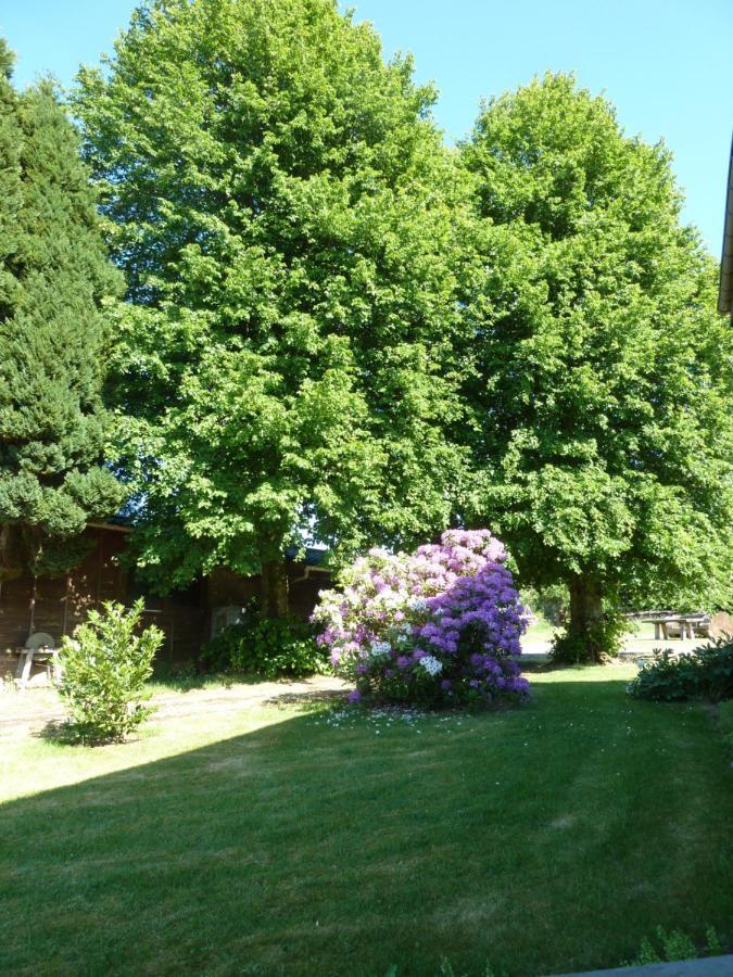 'Chez Lulu' - Gite Cocon Avec Bain Nordique Ardenne Nassogne Bagian luar foto