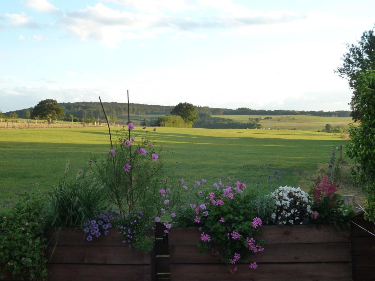 'Chez Lulu' - Gite Cocon Avec Bain Nordique Ardenne Nassogne Bagian luar foto
