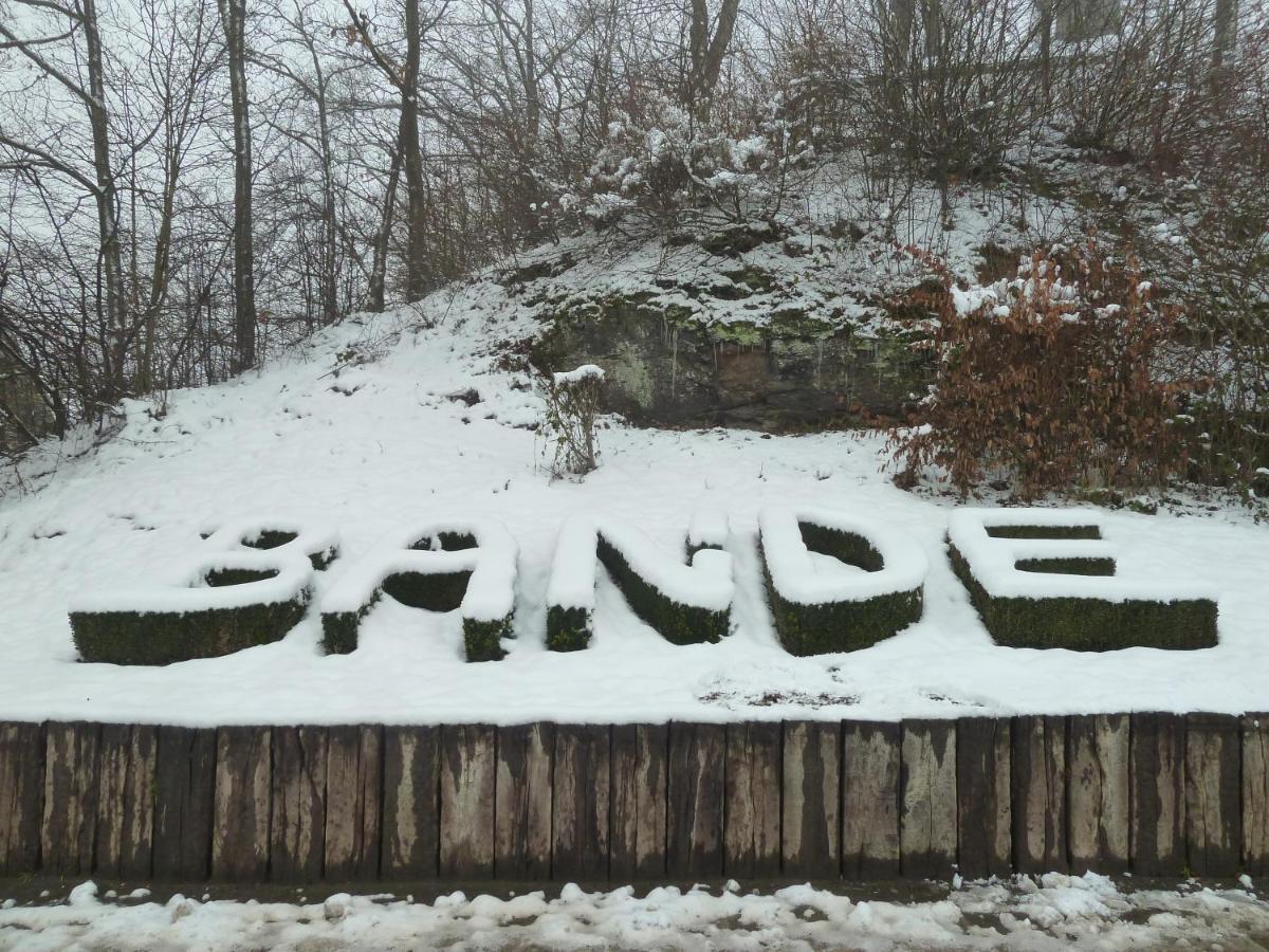 'Chez Lulu' - Gite Cocon Avec Bain Nordique Ardenne Nassogne Bagian luar foto