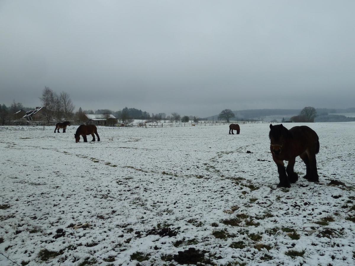 'Chez Lulu' - Gite Cocon Avec Bain Nordique Ardenne Nassogne Bagian luar foto